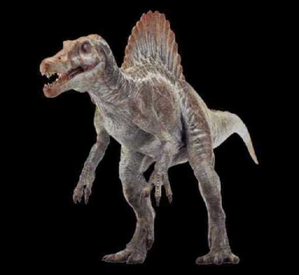 11461spinosaurus